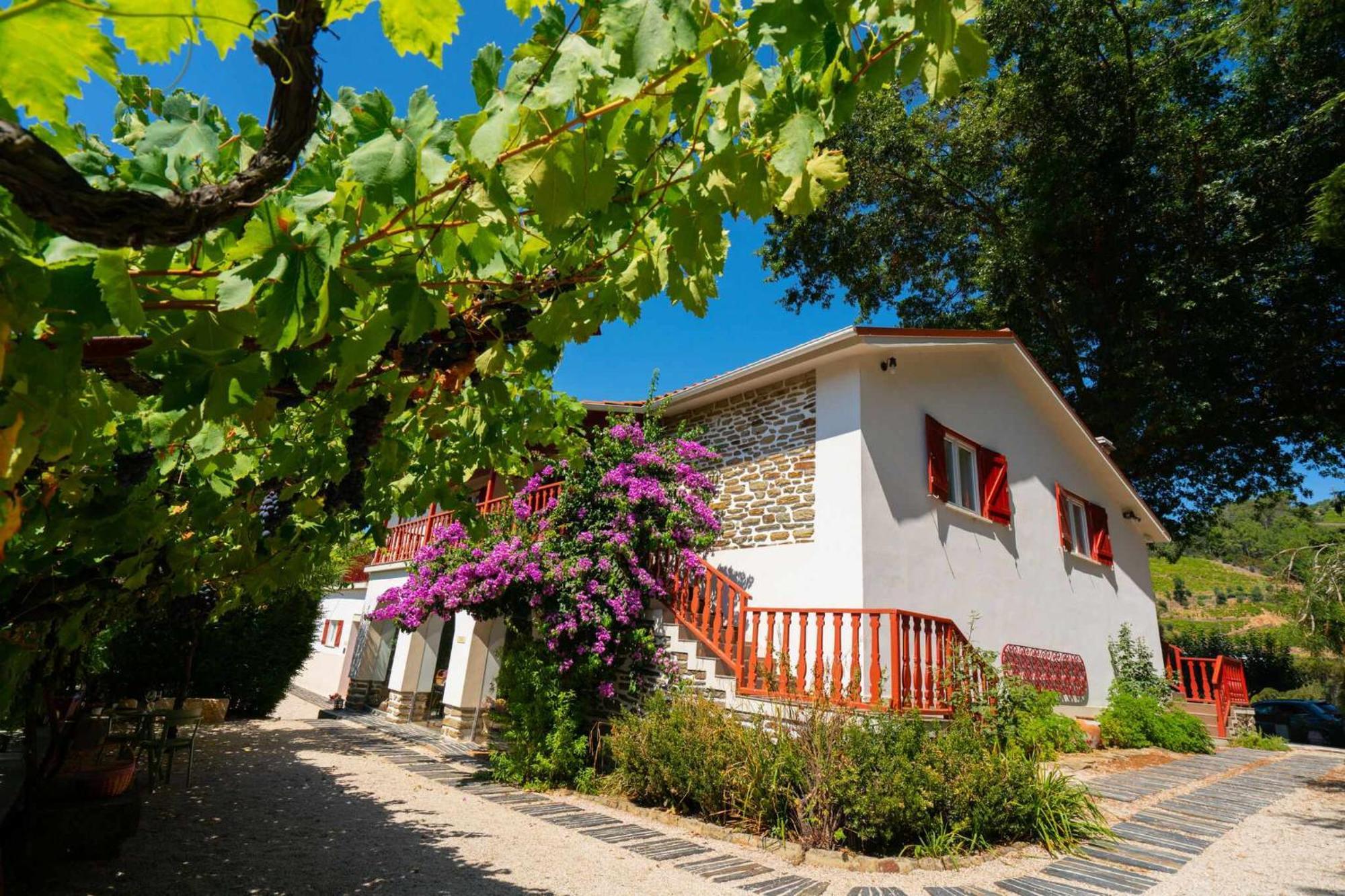 Quinta Da Pousada Casa De Campo Santa Marta de Penaguião Exteriér fotografie